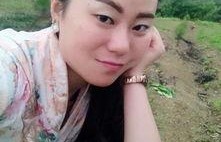 国产113页,深度解析我国科技发展的新篇章